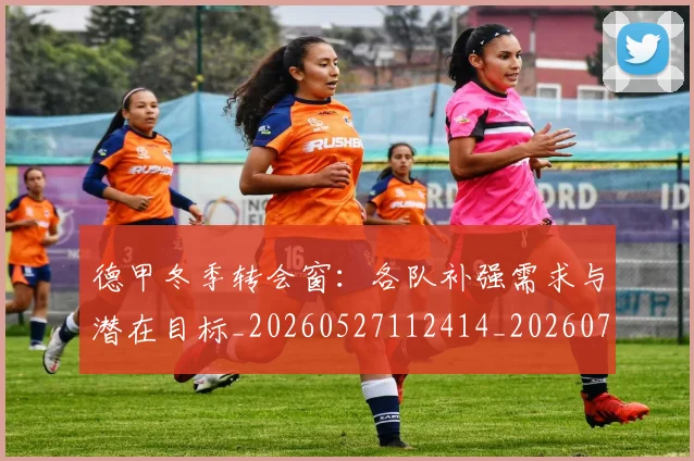 德甲冬季转会窗:各队补强需求与潜在目标_20260527112414_20260707153545