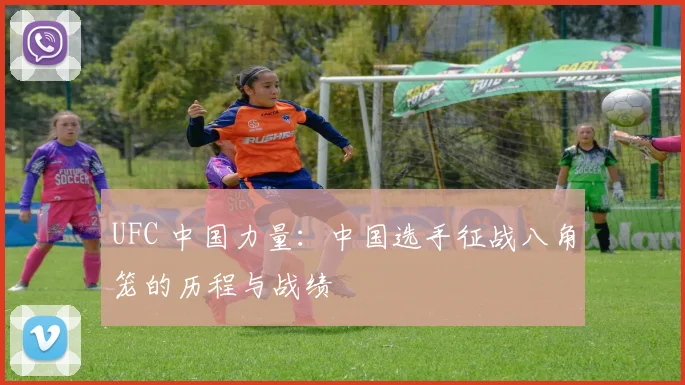 UFC 中国力量:中国选手征战八角笼的历程与战绩