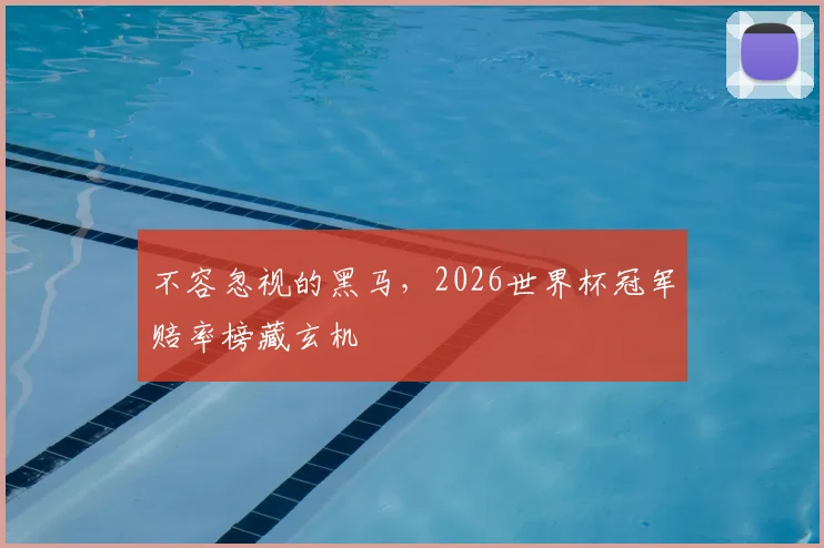 不容忽视的黑马,2026世界杯冠军赔率榜藏玄机